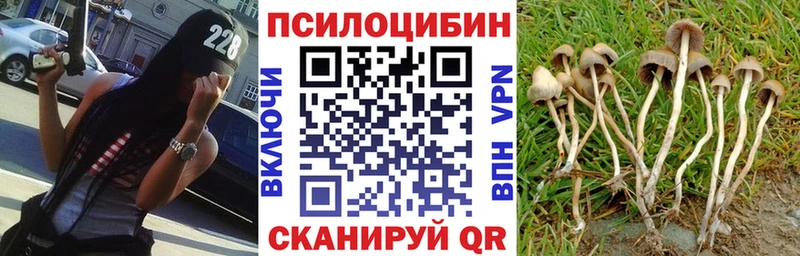 как найти   Белый  Галлюциногенные грибы прущие грибы 
